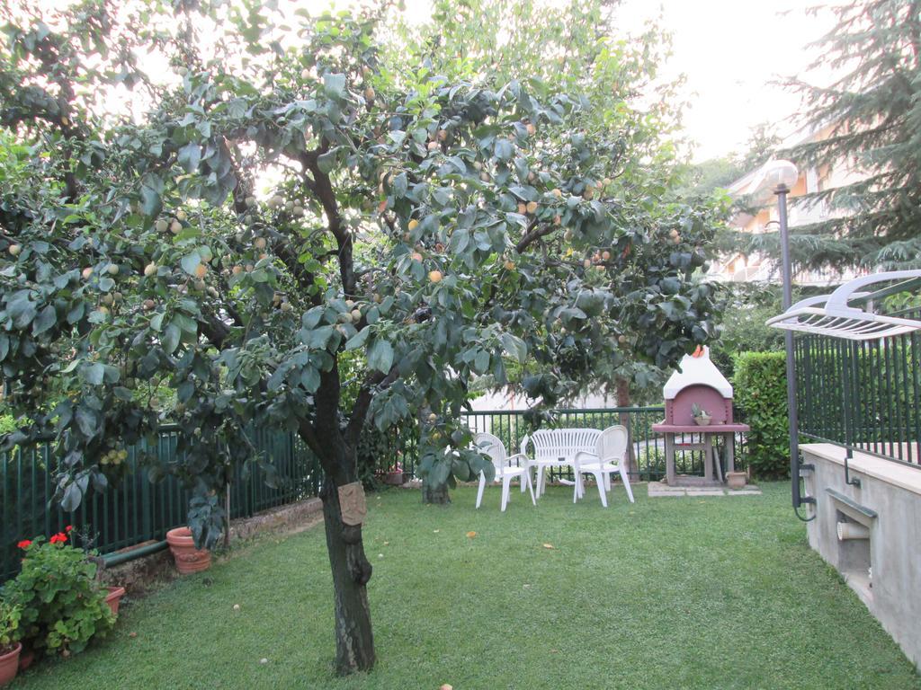 B&B Le Begonie Асколі-Пічено Екстер'єр фото