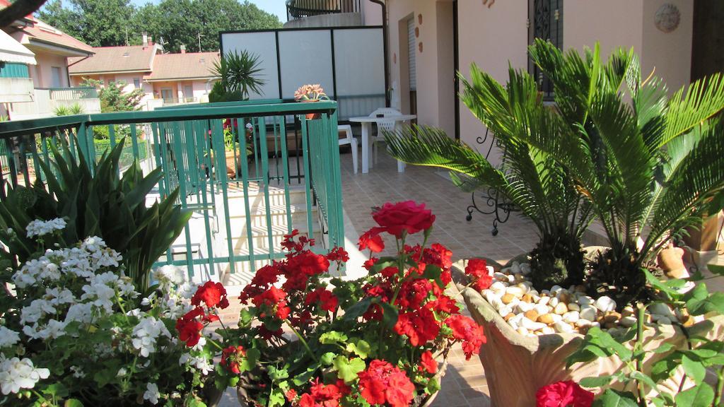 B&B Le Begonie Асколі-Пічено Номер фото